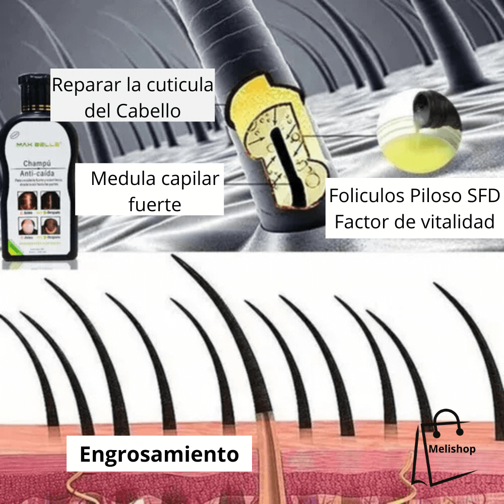 Shampoo Anticaida Hair Care Disaar 200. M. !OFERTA Últimas Unidades¡
